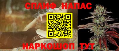 стафф Моздок