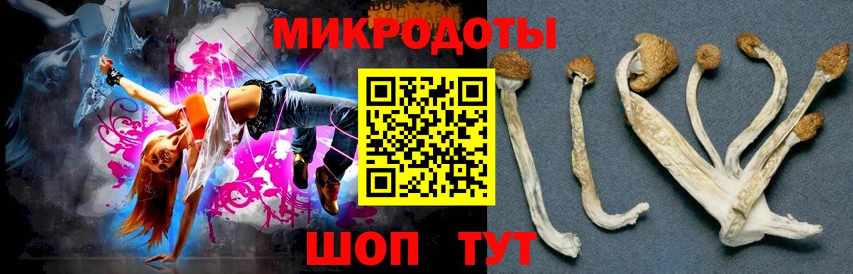 купить закладку  Вход с VPN  Псилоцибиновые грибы Psilocybine cubensis  Хабаровск  Псилоцибиновые грибы Psilocybine cubensis 